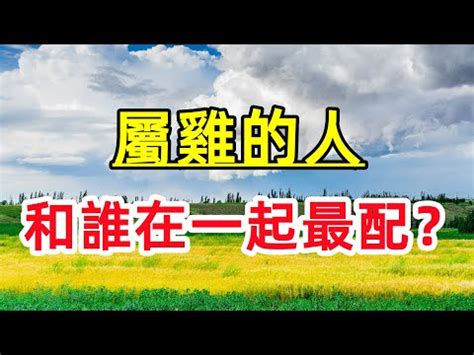 雞虎配|【虎配雞】虎配雞：史上最強婚姻組合？屬虎與屬雞配對全攻略